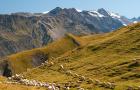 Oisans